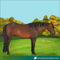 Horse Color:Brown 