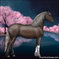 Horse Color:Silver Brown 