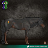 Horse Color:Liver Chestnut Sabino 
