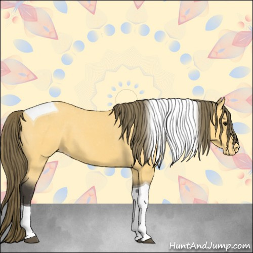 Horse Color:Buckskin Tobiano Appaloosa 