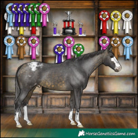 Horse Color:Buckskin Appaloosa