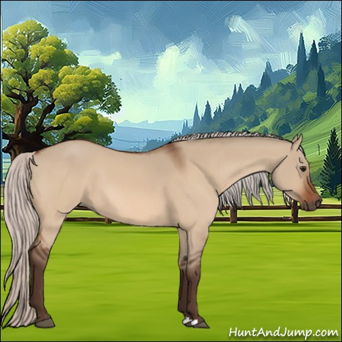 Horse Color:Silver Bay Dun