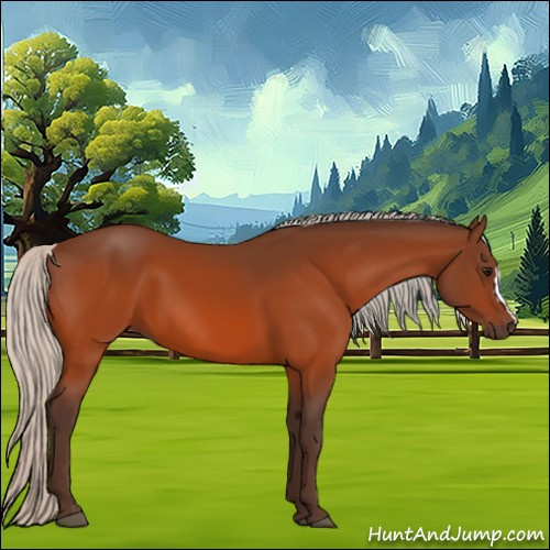 Horse Color:Silver Bay 