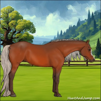Horse Color:Silver Bay 