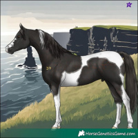 Horse Color:Liver Chestnut Tobiano 