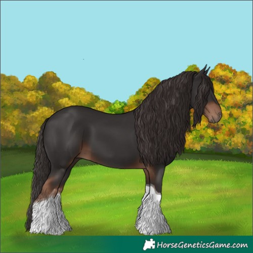 Horse Color:Liver Chestnut Tobiano