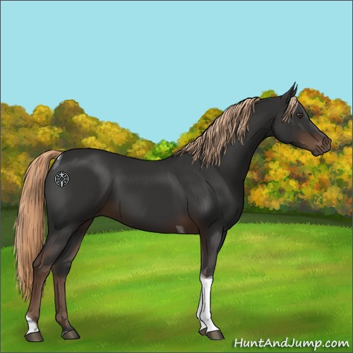 Horse Color:Liver Chestnut Tobiano 