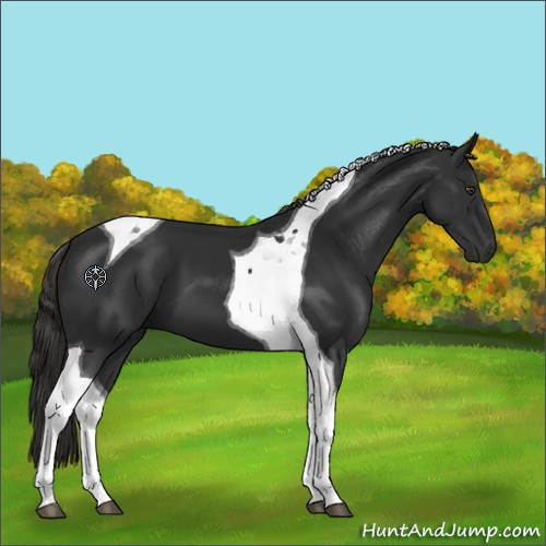 Horse Color:Liver Chestnut Tobiano 