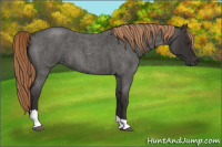 Horse Color:Liver Red Roan Tobiano