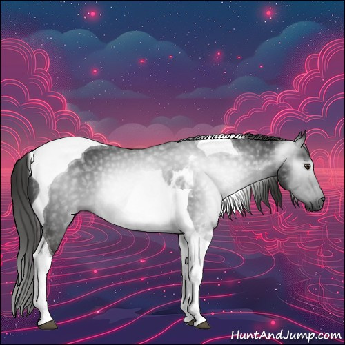 Horse Color:Gray Liver Chestnut Tobiano 