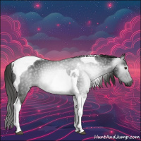 Horse Color:Gray Liver Chestnut Tobiano 