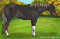 Horse Color:Liver Chestnut Tobiano 