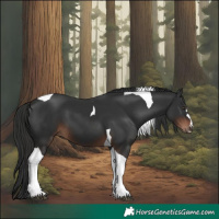 Horse Color:Liver Chestnut Tobiano 