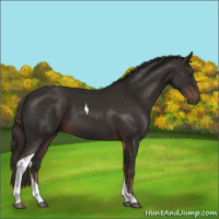 Horse Color:Liver Chestnut Tobiano 