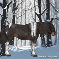Horse Color:Liver Chestnut Tobiano 