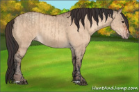 Horse Color:Bay Dun  and Amber Champagne Dun 