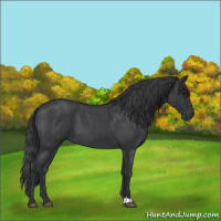 Horse Color:Blue Roan 