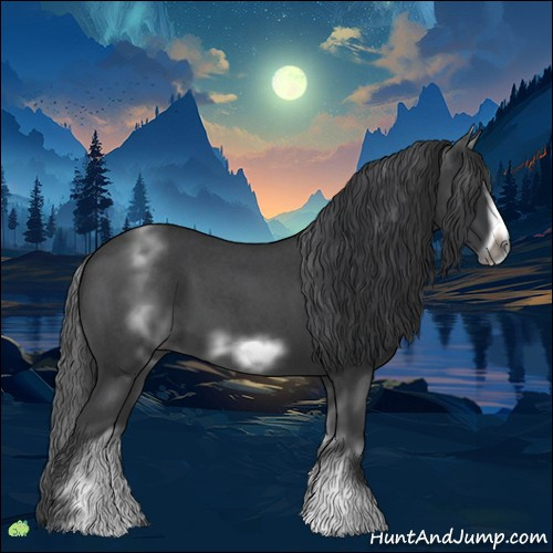 Horse Color:White Spotted Blue Roan Frame 
