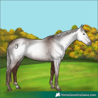 Horse Color:Gray Chestnut 