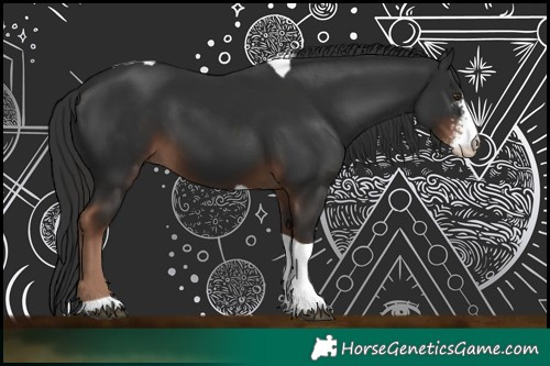 Horse Color:Liver Chestnut Sabino Tobiano