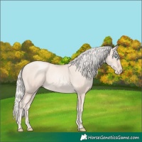 Horse Color:Gold Cream Champagne Pearl 