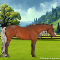 Horse Color:Silver Bay 