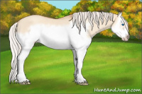 Horse Color:Silver Classic Champagne Dun Splash Frame 