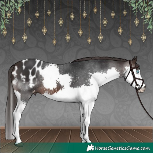 Horse Color:Brown Splash Blanket 