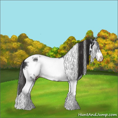 Horse Color:Liver Chestnut Tobiano Frame Leopard