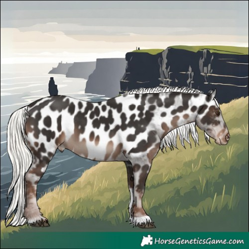 Horse Color:Liver Chestnut Mushroom Tobiano Appaloosa 