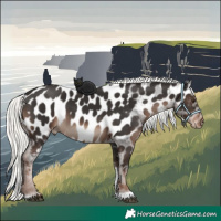 Horse Color:Liver Chestnut Mushroom Tobiano Appaloosa 