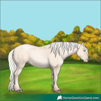 Horse Color:Silver Amber Cream Champagne Pearl 