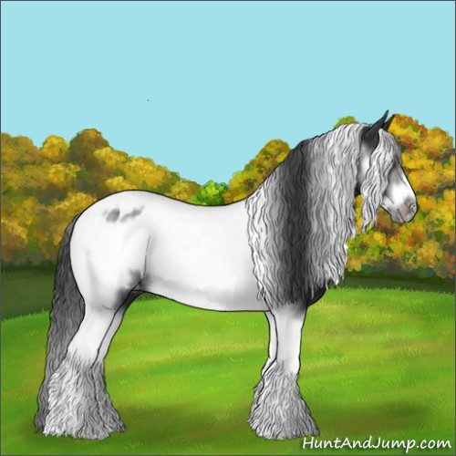Horse Color:Black Tobiano Frame Near Leopard