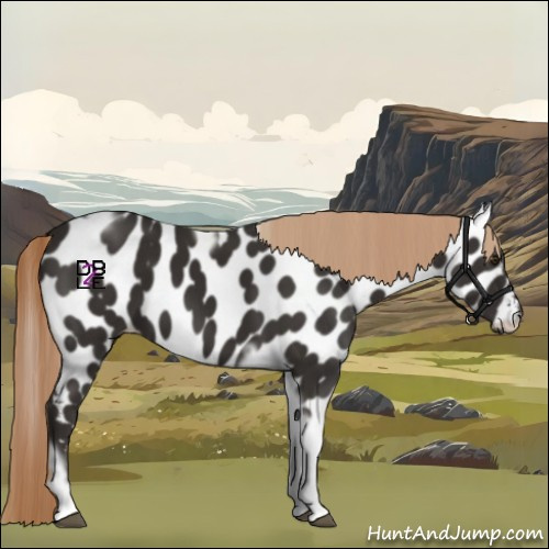 Horse Color:Liver Chestnut Tobiano Frame Appaloosa 