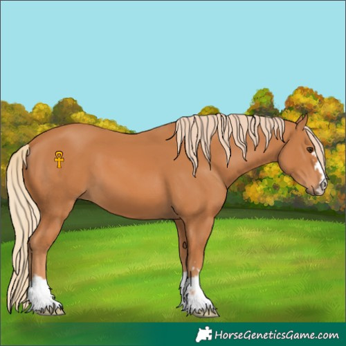 Horse Color:Chestnut 