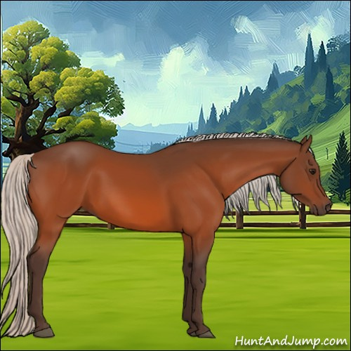 Horse Color:Silver Bay 