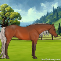 Horse Color:Silver Bay 