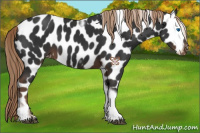 Horse Color:Liver Chestnut Tobiano Frame Leopard 
