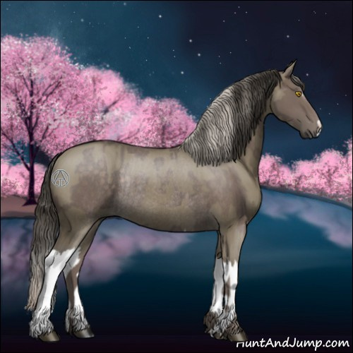 Horse Color:Silver Black Rabicano and Smoky Grullo Splash Rabicano
