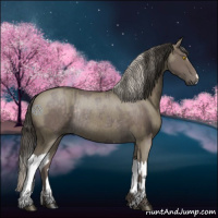Horse Color:Silver Black Rabicano  and Smoky Grullo Splash Rabicano 