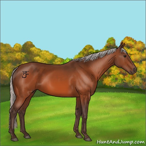 Horse Color:Silver Bay 