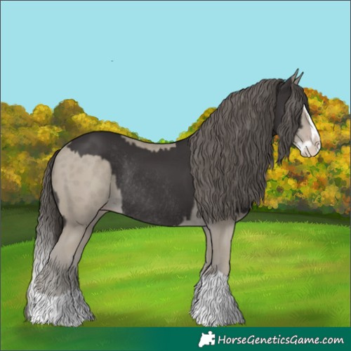 Horse Color:Smoky Black Splash Rabicano and Classic Cream Champagne Splash Rabicano