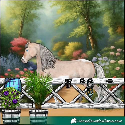 Horse Color:Silver Bay Dun Sabino Tobiano Frame Rabicano 