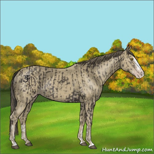 Horse Color:Smoky Black Splash Rabicano  and Classic Cream Champagne Splash Rabicano 