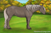 Horse Color:Silver Black 