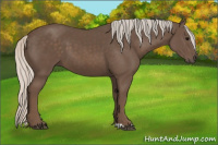Horse Color:Silver Black 