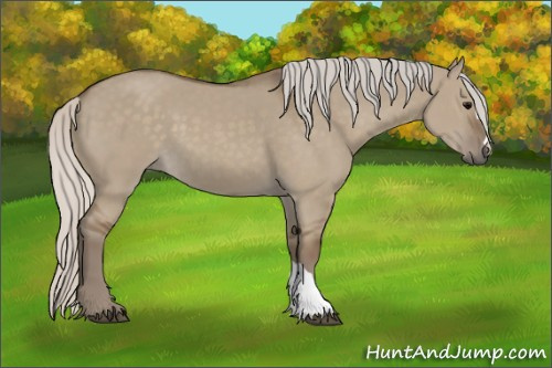 Horse Color:Silver Grullo 