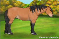 Horse Color:Bay Roan Tobiano