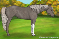 Horse Color:Silver Black 