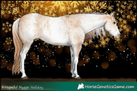 Horse Color:White Spotted Red Dun Rabicano and White Spotted Red Dun Rabicano